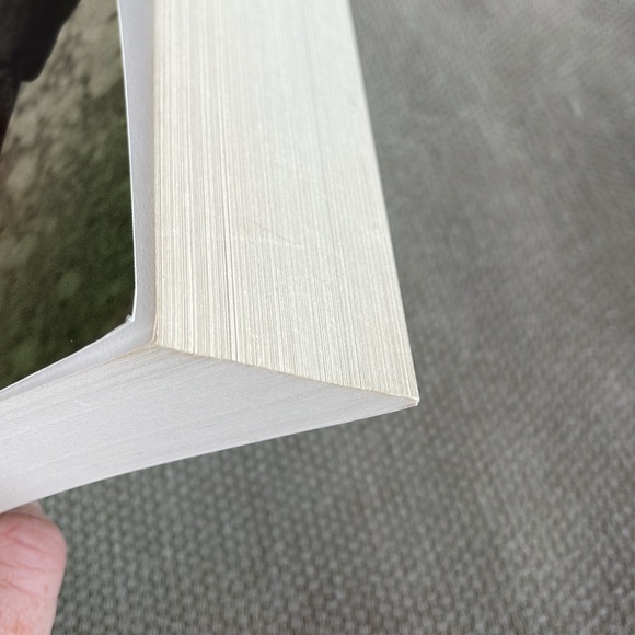 Ysabel - Guy Gavriel Kay. Softcover. Novel. Supernatural. Thriller. - Picture 8 of 10